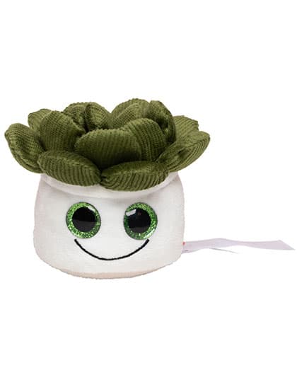 Schmoozies® Evergreenies® Sukkulente — Multicolour