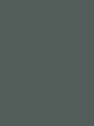 Polyneon 40 Green (5.000 m) — 1640 Grey