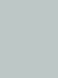 Polyneon 40 Green (5.000 m) — 1687 Grey