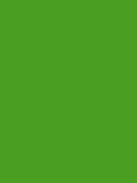 Polyneon 40 Green (5.000 m) — 1701 Green