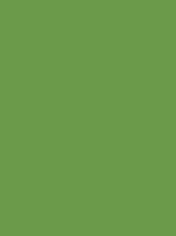 Polyneon 40 Green (5.000 m) — 1848 Green