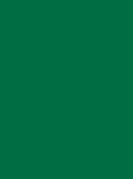 Polyneon 40 Green (5.000 m) — 1851 Green