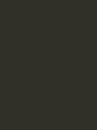 Polyneon 40 Green (5.000 m) — 1859 Brown