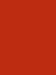 Polyneon 40 Green (5.000 m) — 1878 Dark Orange