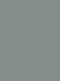 Polyneon 40 Green (5.000 m) — 1918 Grey