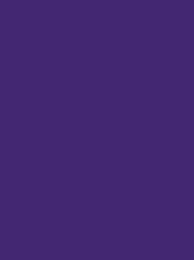 Polyneon 40 Green (5.000 m) — 1922 Violet