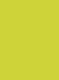 Polyneon 40 Green (5.000 m) — 1940 Lime