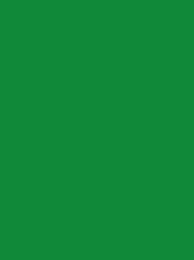 Polyneon 40 Green (5.000 m) — 1988 Green