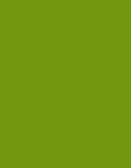 Polyneon 40 (1.000 m) — 1649 Green