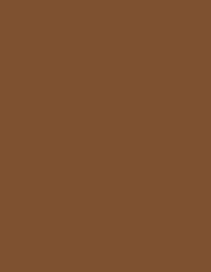 Polyneon 40 (1.000 m) — 1657 Cinnamon