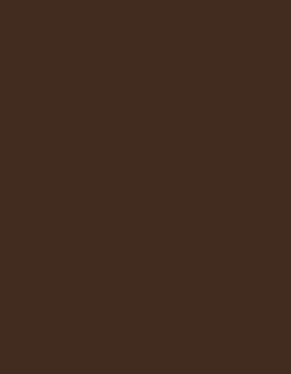 Polyneon 40 (1.000 m) — 1659 Brown
