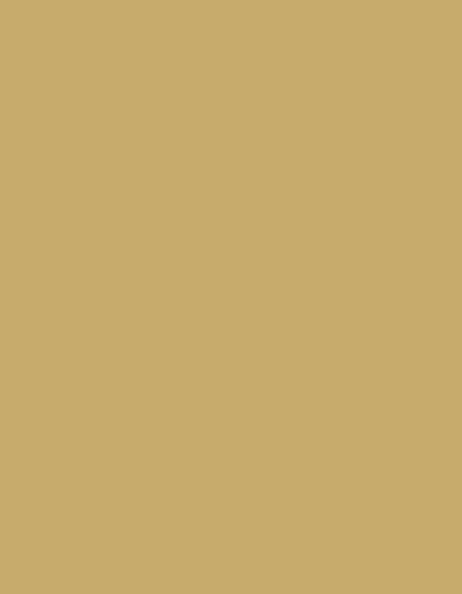 Polyneon 40 (1.000 m) — 1684 Beige