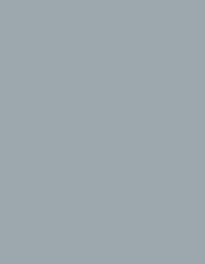 Polyneon 40 (1.000 m) — 1718 Grey