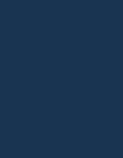 Polyneon 40 (1.000 m) — 1742 Light Navy