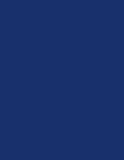 Polyneon 40 (1.000 m) — 1767 Dark Royalblue