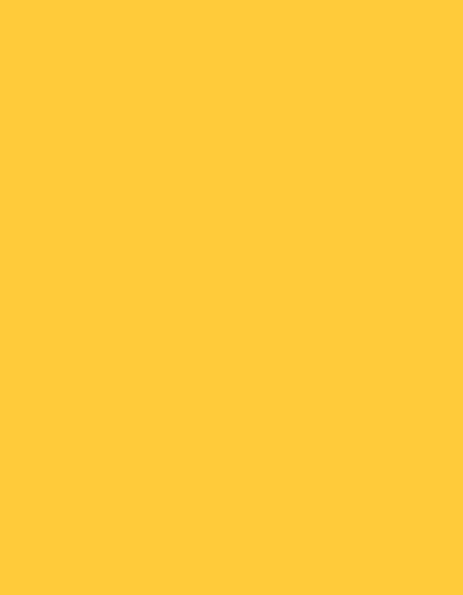 Polyneon 40 (5.000 m) — 1683 Lemon