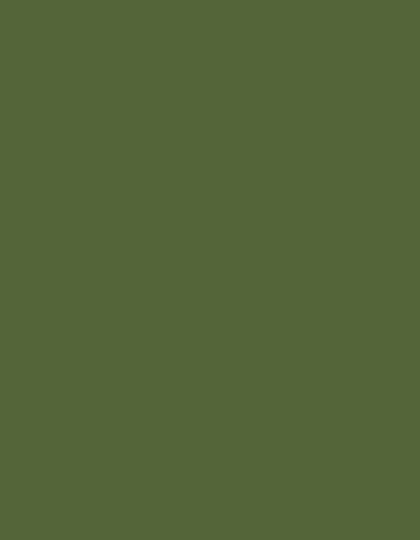 Frosted Matt No. 40 (2.500 m) — 7804 Green