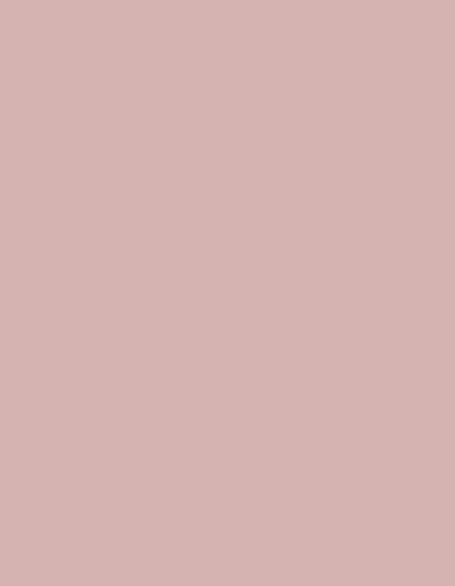 Frosted Matt No. 40 (2.500 m) — 7818 Pink