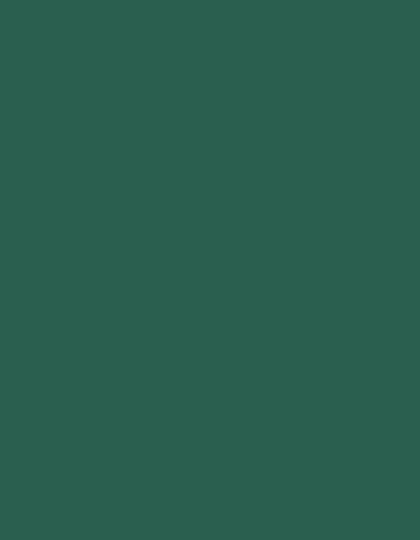 Frosted Matt No. 40 (2.500 m) — 7902 Green