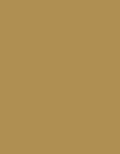 Polyneon 60 (1.500 m) — 1673 Light Brown