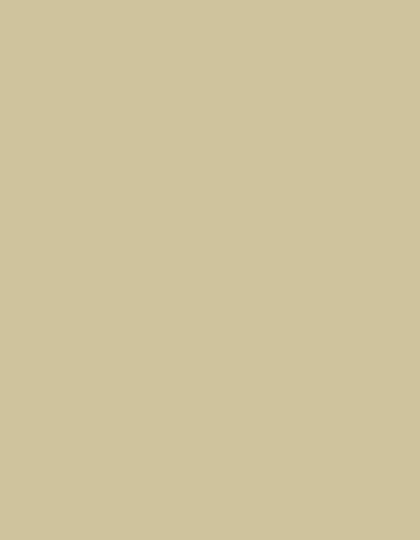 Polyneon 60 (1.500 m) — 1738 Beige