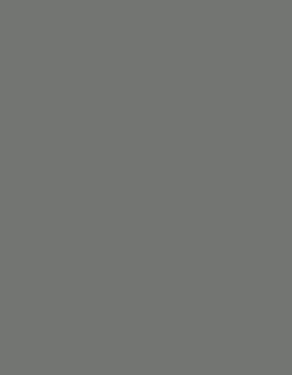 Polyneon 60 (1.500 m) — 1741 Grey