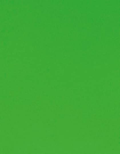 CAD-CUT® Flock — Neon Green 401