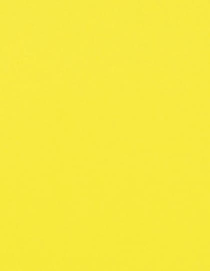 CAD-CUT® Flock — Neon Yellow 101